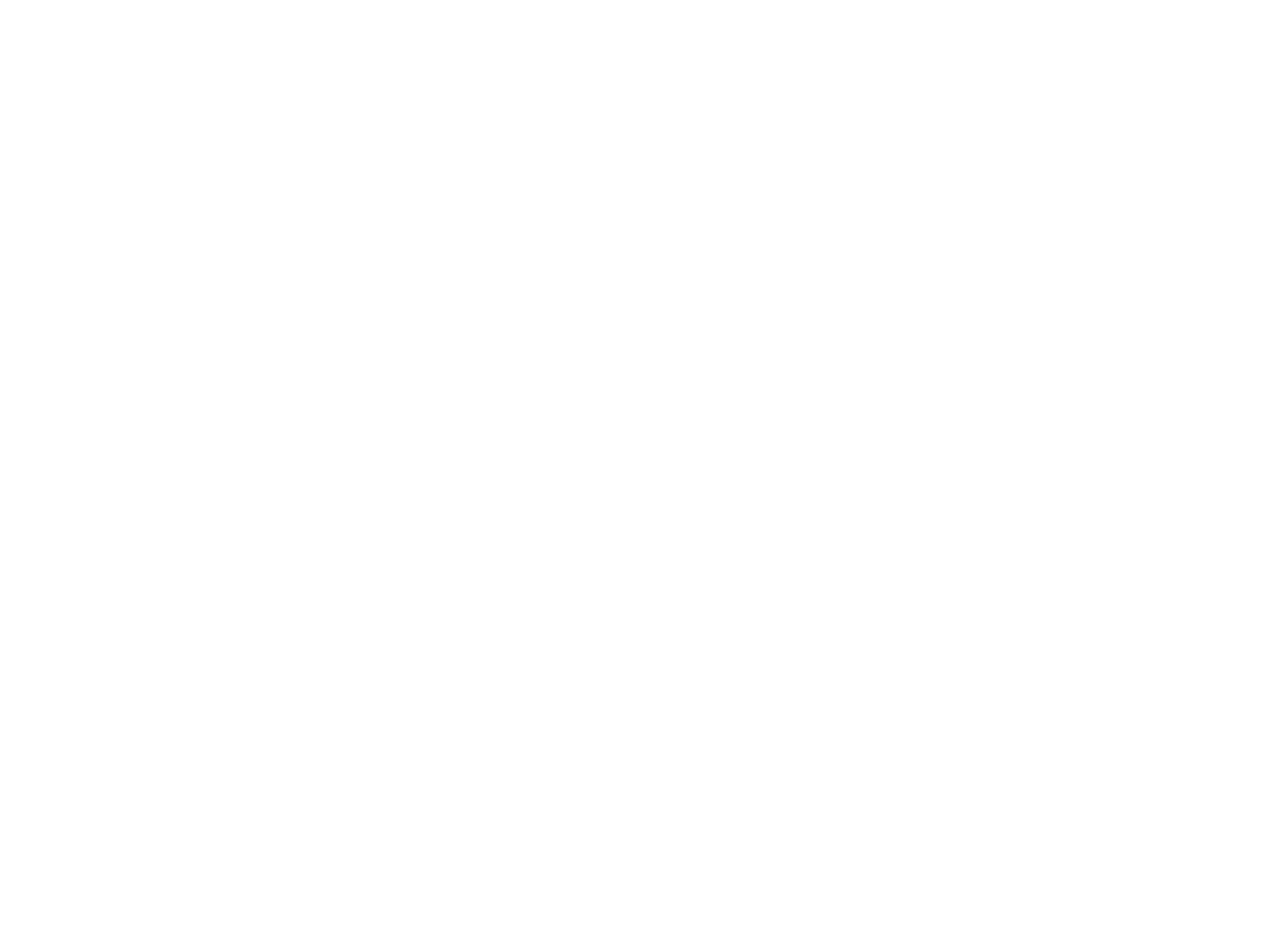 Plarium Logo White